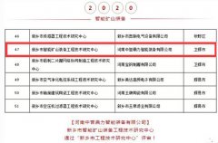 捷報連連 | 中譽鼎力再獲兩項技術(shù)類榮譽！